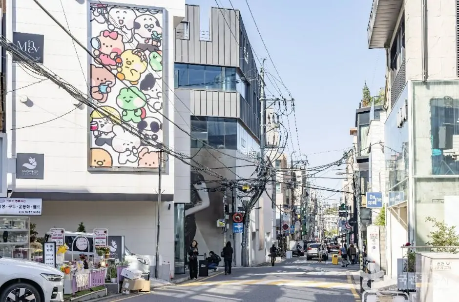 신사동 가로수길 사진