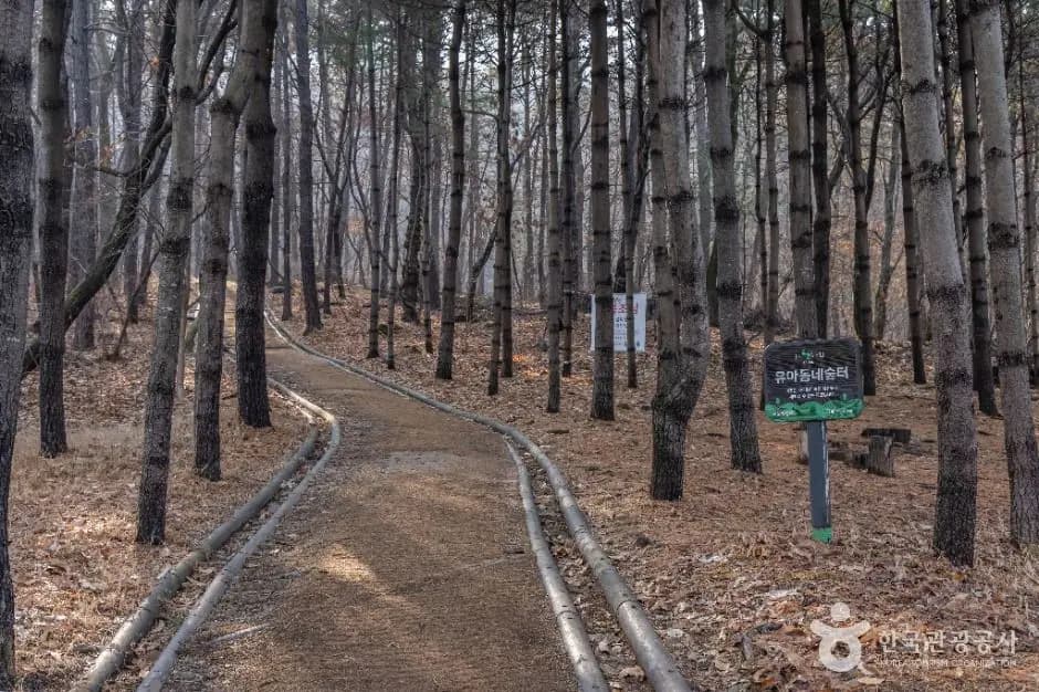 대모산도시자연공원 사진